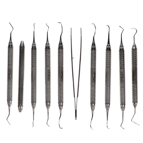Dental Hygiene Kit, 10 Instruments, HYKIT10