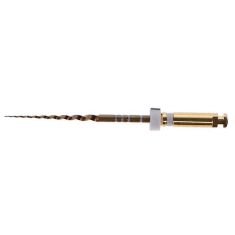 ProTaper Gold Rotary Files, 25 mm, S2, White, 6/Pack