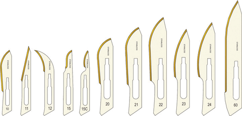 Glassvan, Sterile, Surgical Blades, Stainless Steel, # 11, 100/Pk, SU301