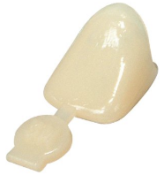 Polycarbonate Crowns, Adult, Lateral, # 23 Upper Right, Universal Shade, 5/Pk, P23