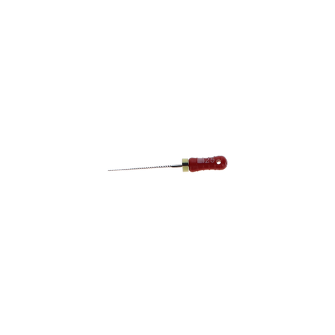 Ready-Steel, K-File, Stainless Steel, 21 mm, # 25, Red, 6/Pk, 6842521 (Exp. 10/31/24)