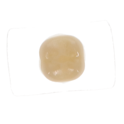 Protemp Crown Temporization Material, Adult, Refill, Upper Large Molar, Universal Shade, 5/Pk