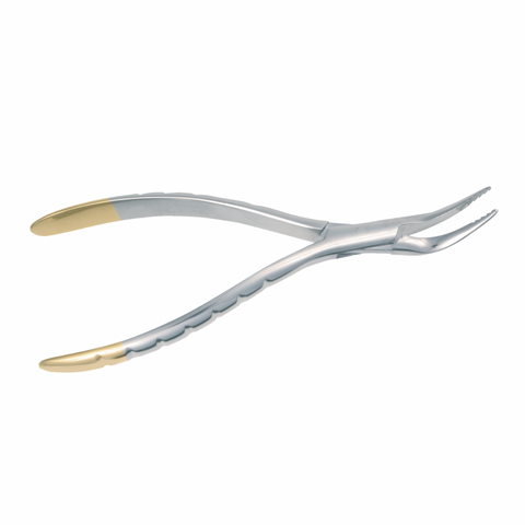Root Forceps TC, T797
