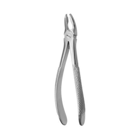 35 Upper Incisors, Canines & Premolars Extraction Forcep, EF19