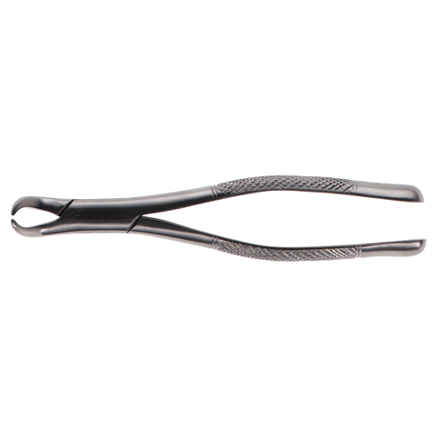 Forcep Extracting Lower Molars #23, 300288