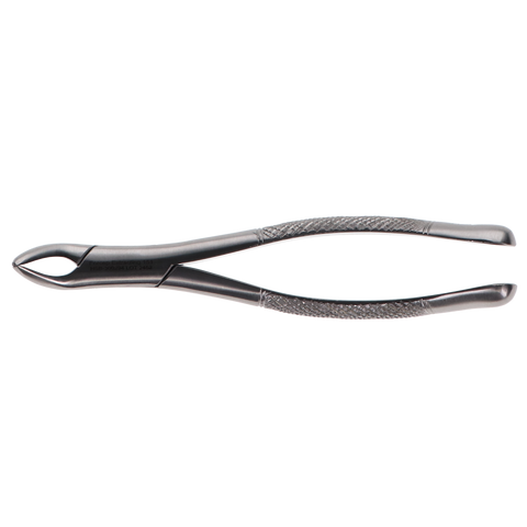 Forcep Extracting Universal Bicuspid #151, 300294