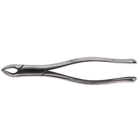 Extracting Forcep #151 Serrated, 300298