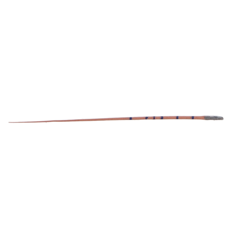 Gutta Percha, ML.029, ISO Sizes, MMGP Spillproof #08, 120/Pk, ML101-S601