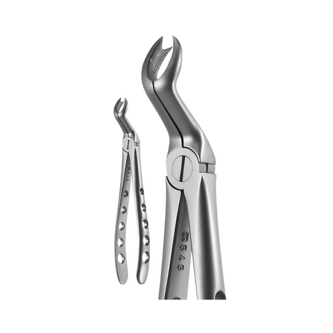 X-Trac Forcep Right Upper Molar 3 Prong, 6718