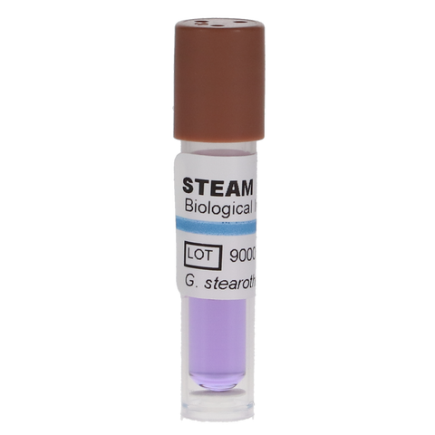 Ensure Biological Indicators, 24 hour, 100/Bx, SCI-100BI (Exp.10/31/2025)