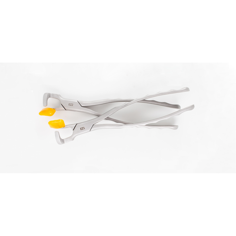 Physics Forceps Molar GMX 400 EZ2