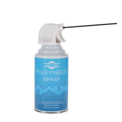 Endo Ice Type Refrigerant Spray Can, 10 oz, 1/Pk, H05032, 102125