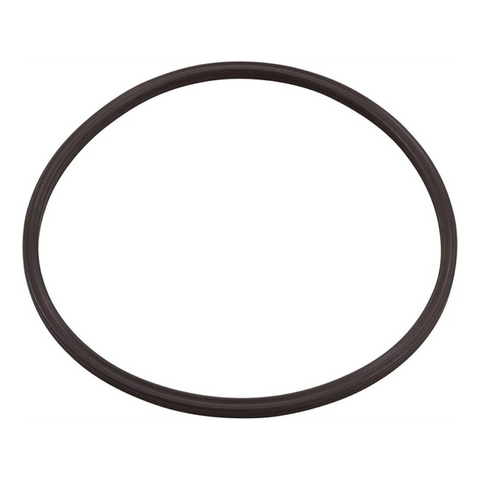 Canister Lid O-Ring, 1/Pk, VC-RING