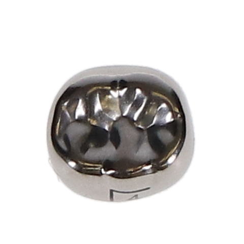 Ion Nichro Stainless Steel Molar Crowns, First Permanent Molar