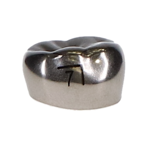 Ion Nichro Stainless Steel Molar Crowns, First Permanent Molar