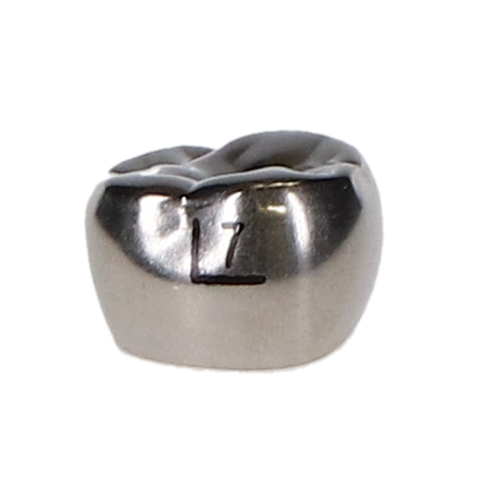 Ion Nichro Stainless Steel Molar Crowns, First Permanent Molar