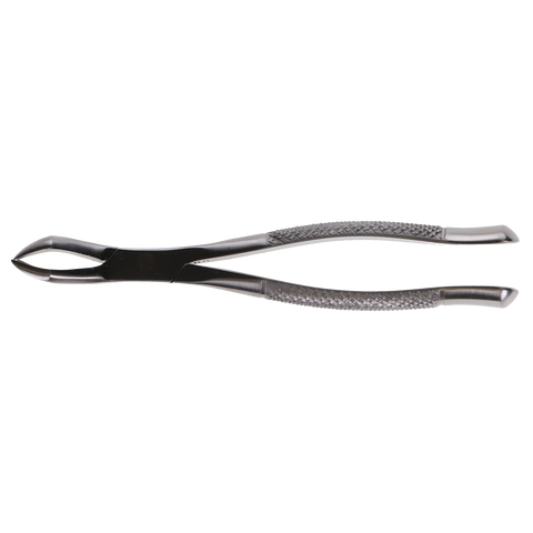 Extracting Forceps, # 88R, Upper Right, 1st & 2nd Molar, 1/Pk, 705-885