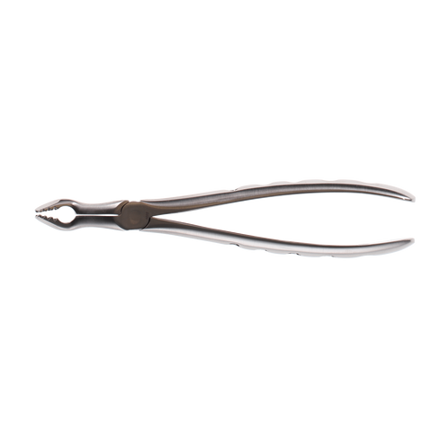 Extracting Forceps, Basic Apical, Universal, Upper Molars, # PX329, 1/Pk, IN06-329