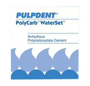 PolyCarb WaterSet Anhydrous Cement, 60 g, Kit, 1/Pk, CPC
